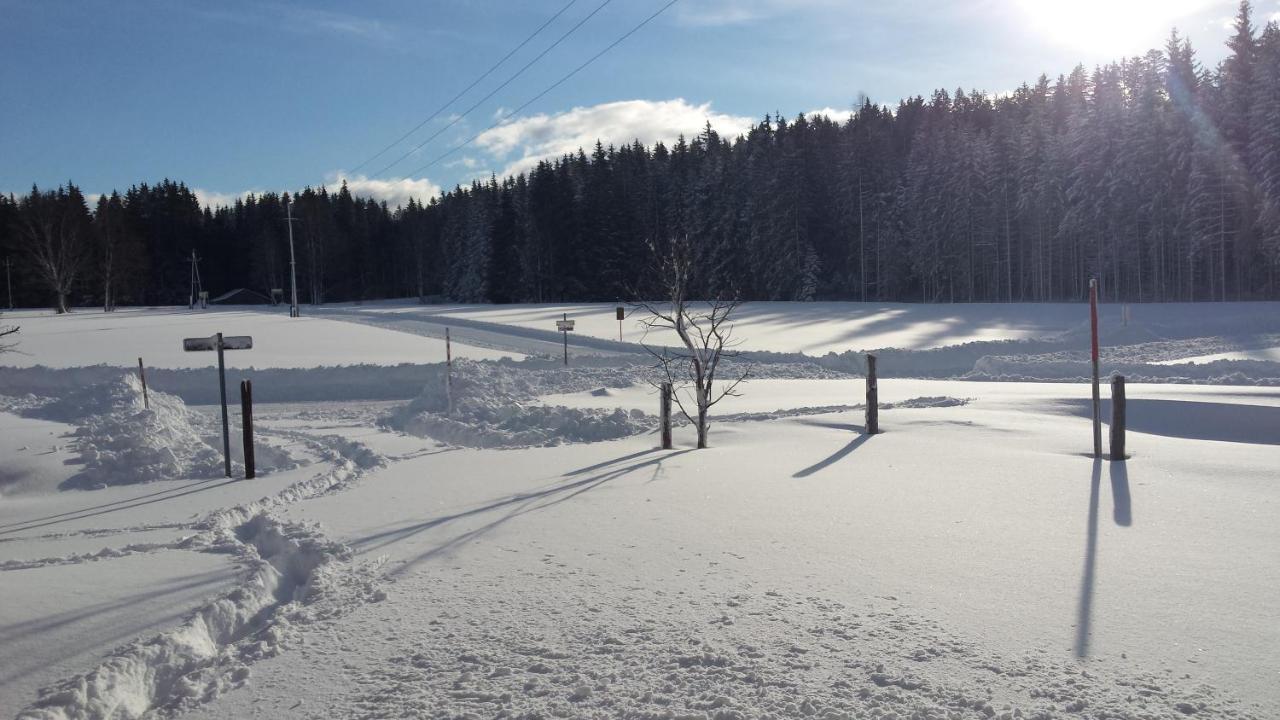 Haus Ferienglueck Apartment Ramsau am Dachstein Bagian luar foto
