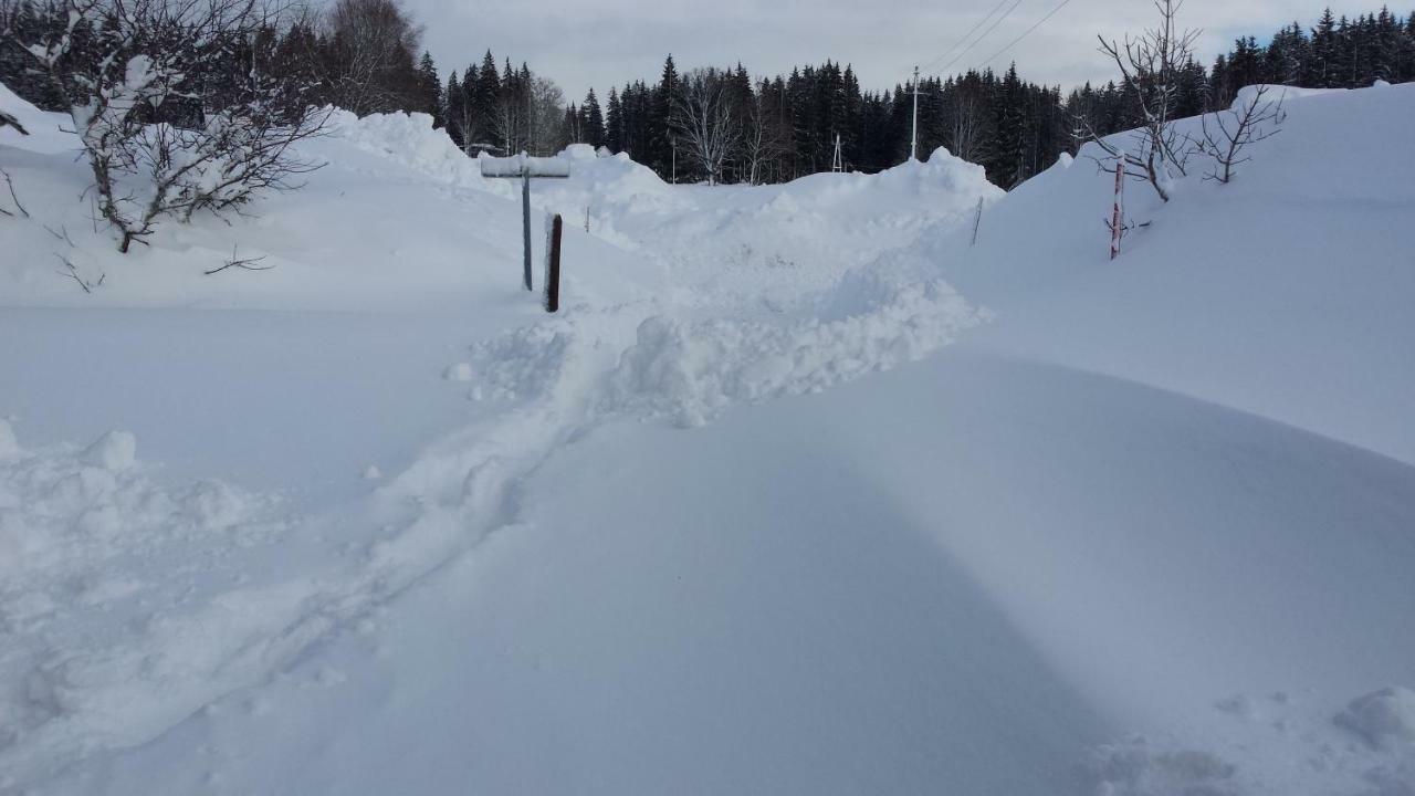 Haus Ferienglueck Apartment Ramsau am Dachstein Bagian luar foto