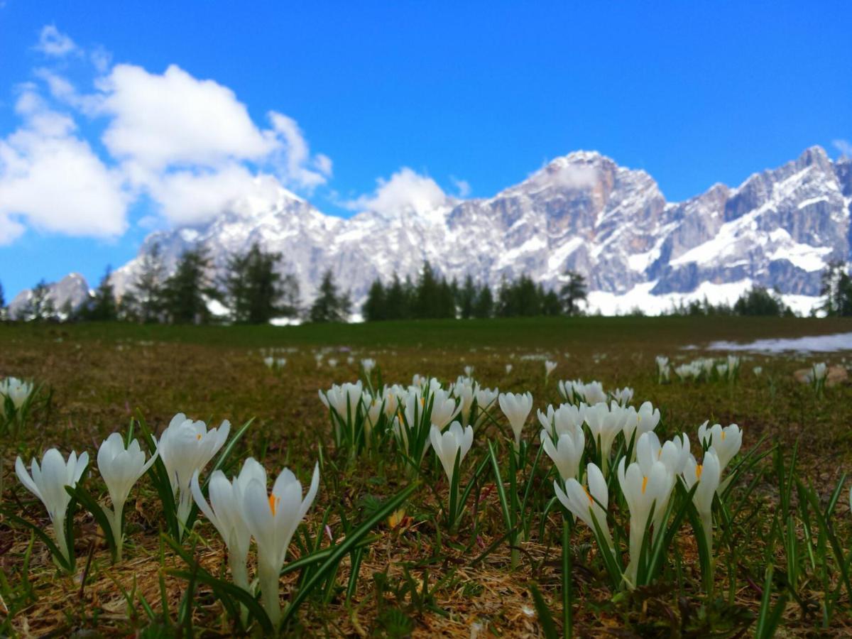 Haus Ferienglueck Apartment Ramsau am Dachstein Bagian luar foto